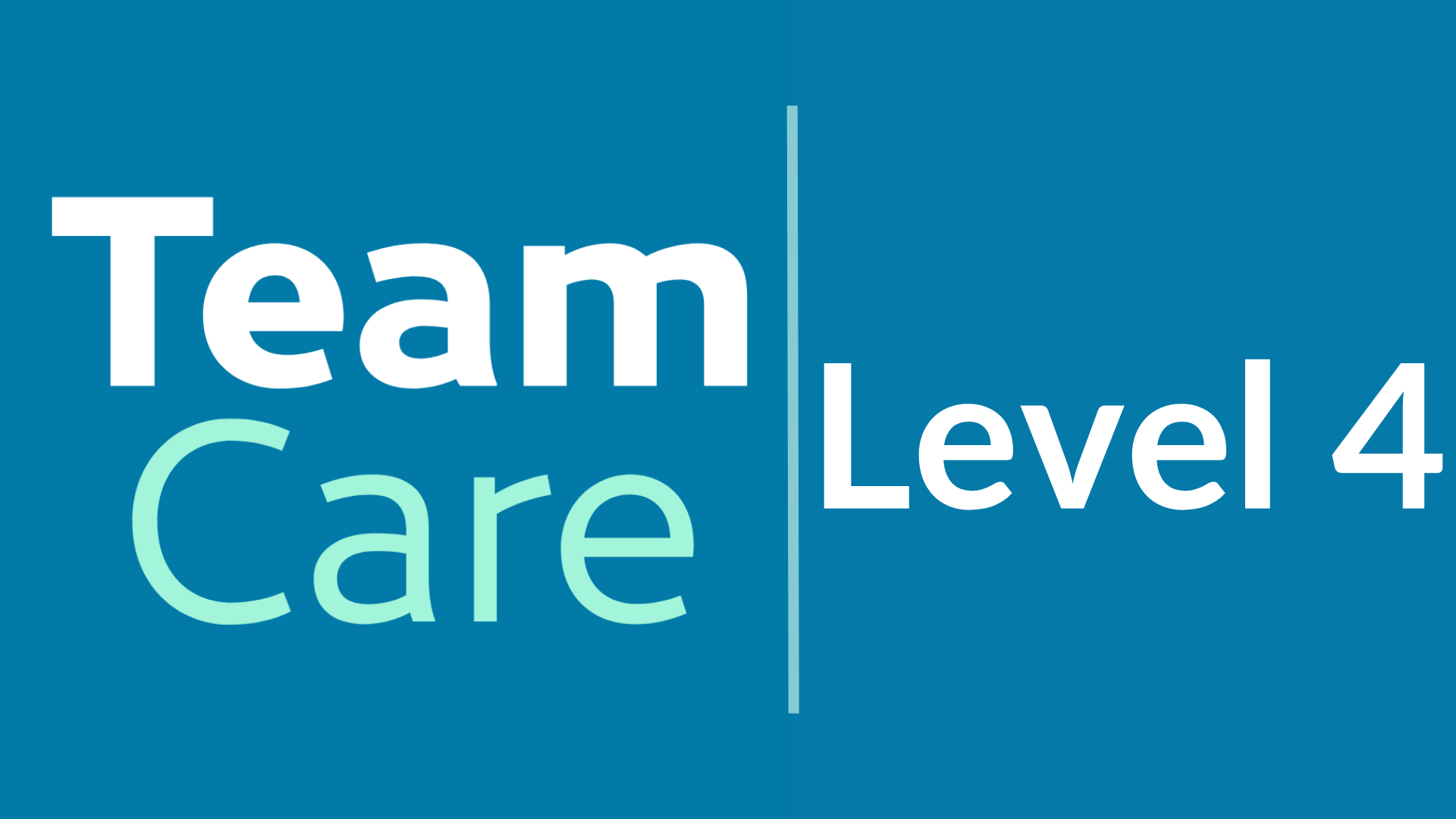 Level 4: Optimizing Treatment Plan Presentations